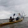 2016oct23 EstuaireVerrou FredGILBERT08 phatch