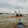 Estuaire iti pa 2016 2 2 resized
