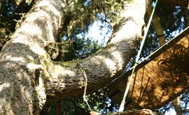 DSC07129-2.jpg