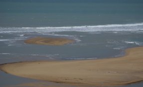 DSC01090.jpg