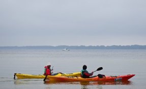 DSCN8157.jpg