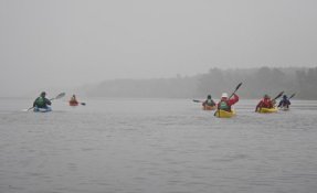 DSCN8195.jpg