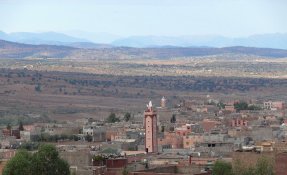 P1100261-2.jpg
