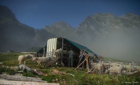 SEBASTIEN CARLIER 06333