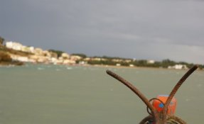 DSC00993.jpg
