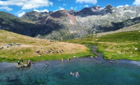 dji_fly_20230728_173004_159_1690818662784_photo_optimized.jpg