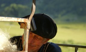 dsc07207-2.jpg