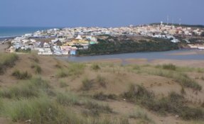 DSC01065.jpg