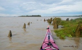 2016oct23 EstuaireVerrou FredGILBERT22 phatch