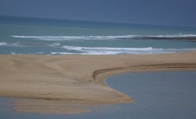 DSC01107.jpg