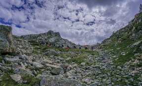 iti_pa_24_sebastien_carlier_-06645.jpg