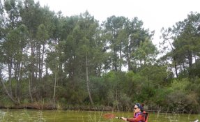 19 LacsMédocains 21 22Mai2016 FredGILBERT resized phatch