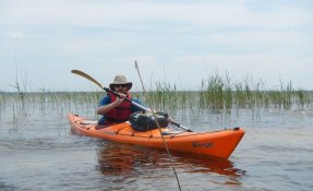 18 LacsMédocains 21 22Mai2016 FredGILBERT resized phatch