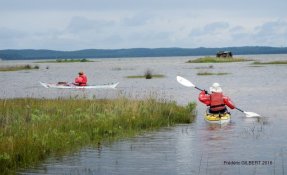 43 LacsMédocains 21 22Mai2016 FredGILBERT resized phatch