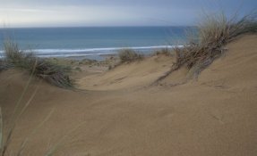 DSC01070.jpg