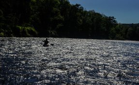 dsc08730.jpg