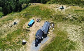 dji_fly_20230728_110218_153_1690818701101_photo_optimized.jpg