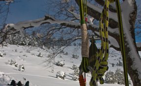 _seb_carlier-12.jpg