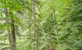 _sebastien_carlier_sejour_berger_23-02305.jpg