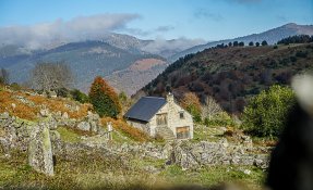aquarelles_campan-_sebastien_carlier_-05602.jpg