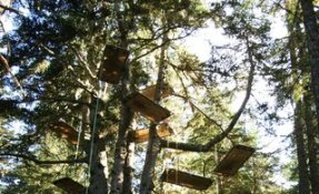 DSC07199-2.jpg