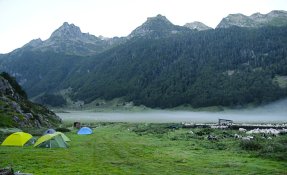dsc07232-2.jpg