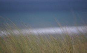 DSC01104.jpg