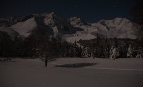 _seb_carlier-37.jpg