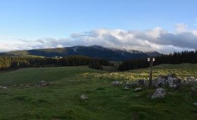 dsc_2306.jpg