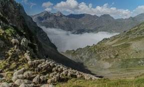 _sebastien_carlier_-09321.jpg