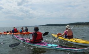 17 LacsMédocains 21 22Mai2016 FredGILBERT resized phatch