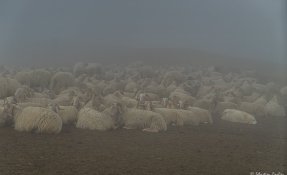 _sebastien_carlier_-09413.jpg