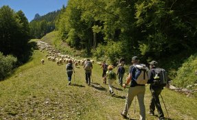 _seb_carlier-2-4.jpg
