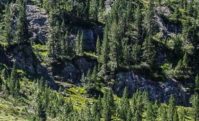 _sebastien_carlier_sejour_berger_23-02046.jpg