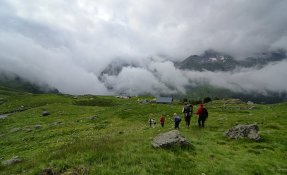 dsc07445.jpg