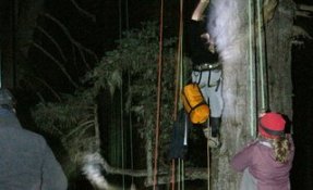 DSC07264-2.jpg