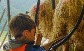 sebastien_carlier-01093.jpg