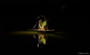 stage kayak de mer ile de ré 2016 02019