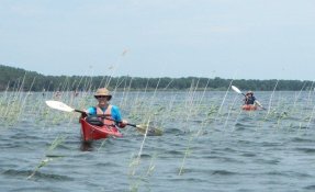 13 LacsMédocains 21 22Mai2016 FredGILBERT resized phatch