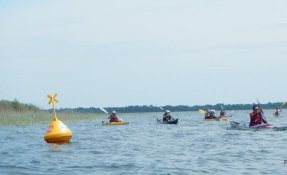 11 LacsMédocains 21 22Mai2016 FredGILBERT resized phatch