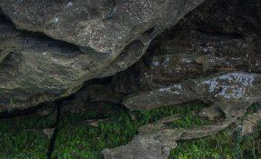 dsc09028.jpg