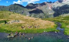 dji_fly_20230728_173136_171_1690818612853_photo_optimized.jpg