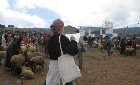 maroc_stage-itineraires_04.jpg