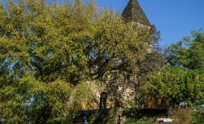 Vezere SEBASTIEN CARLIER 05176