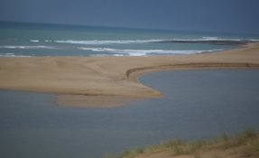 DSC01109.jpg