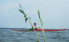 16 LacsMédocains 21 22Mai2016 FredGILBERT resized phatch