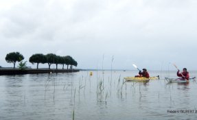 46 LacsMédocains 21 22Mai2016 FredGILBERT resized phatch