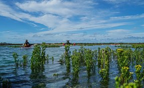 kmer_ile_de_re_-_sebastien_carlier_-04706.jpg