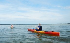 06 LacsMédocains 21 22Mai2016 FredGILBERT resized phatch