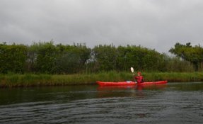 47 LacsMédocains 21 22Mai2016 FredGILBERT resized phatch